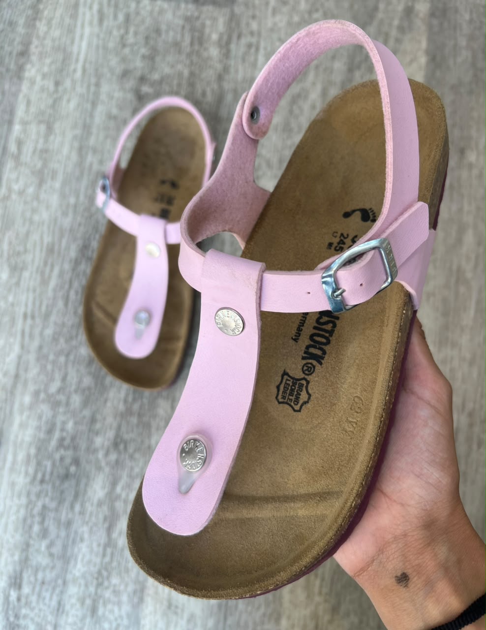 KAIRO ROSE EVA BORDEAUX