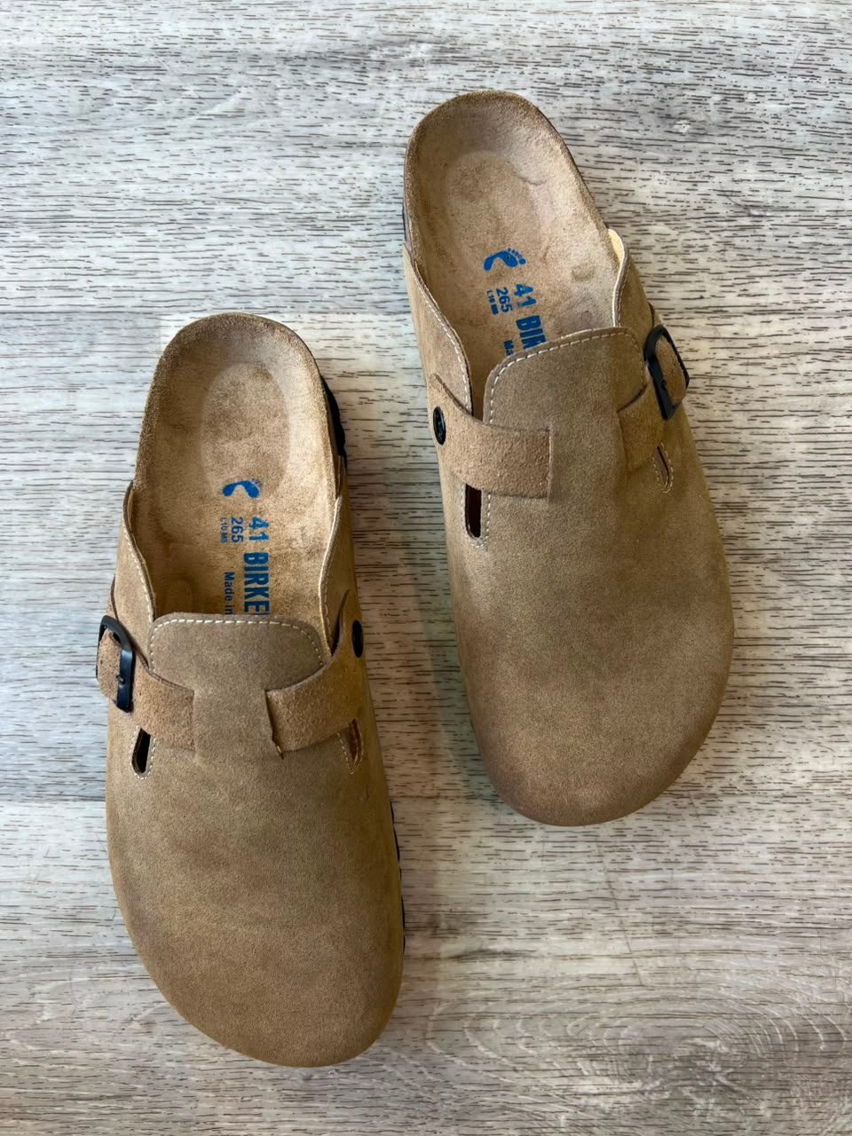 BOSTON KAKI